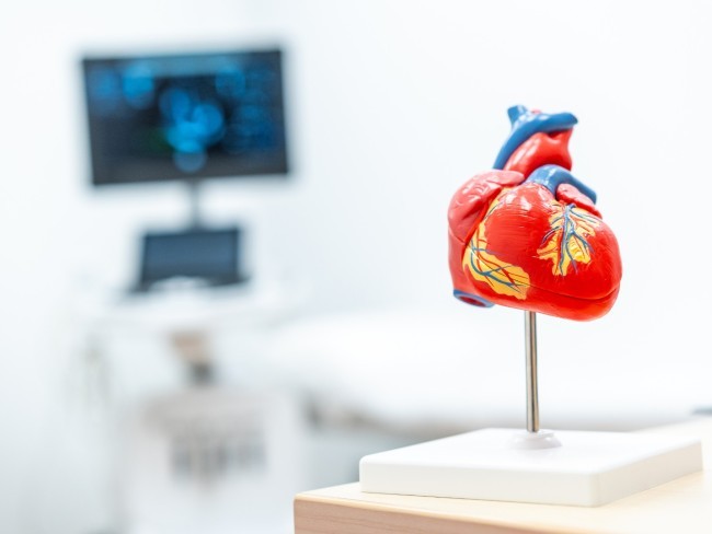Aktuelle Cardiologie Cottbus: Tops und Flops der innovativen Herzmedizin zwischen 1994 und 2024